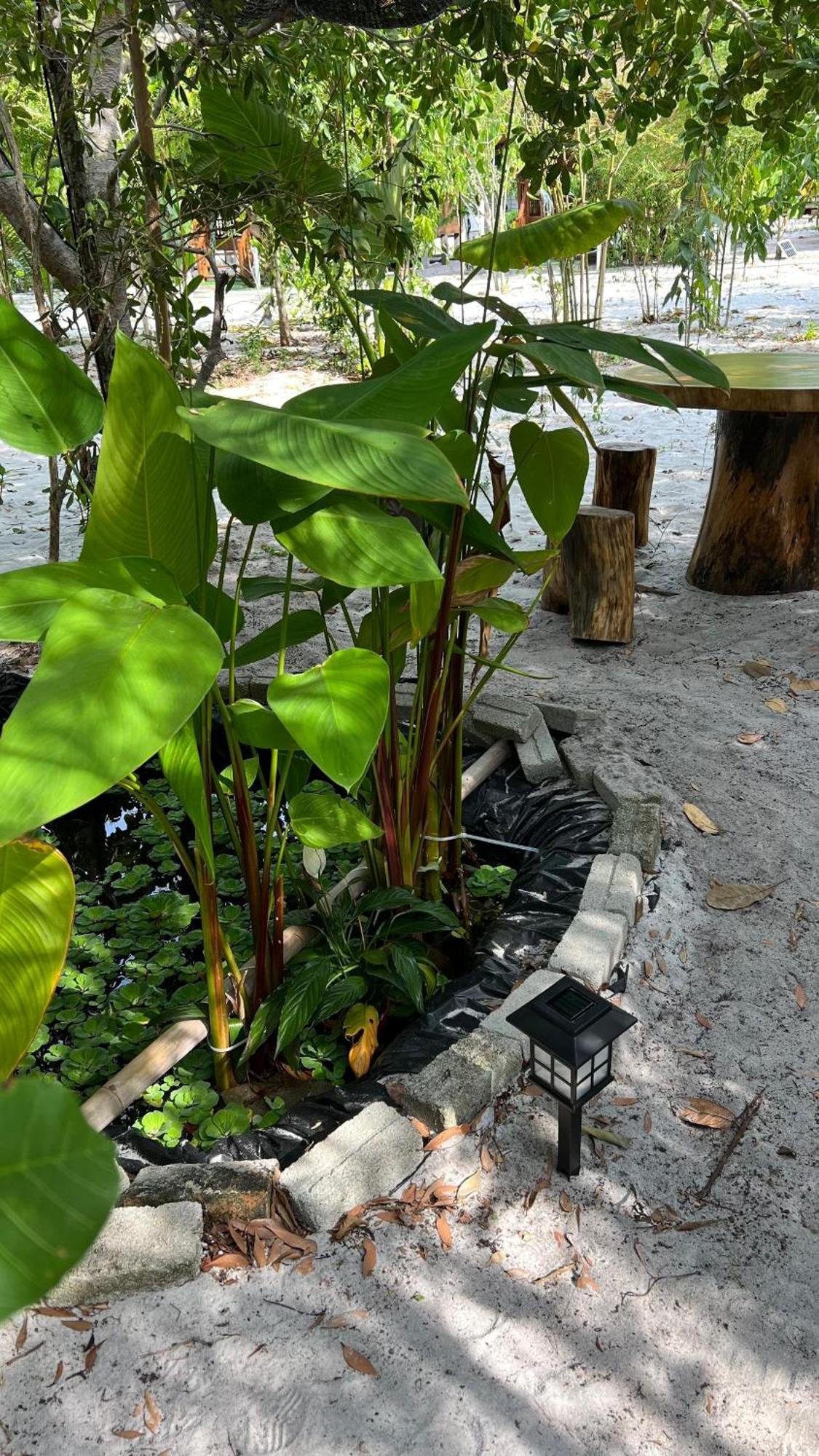 Golden Chenang Village Pantai Cenang  Zewnętrze zdjęcie