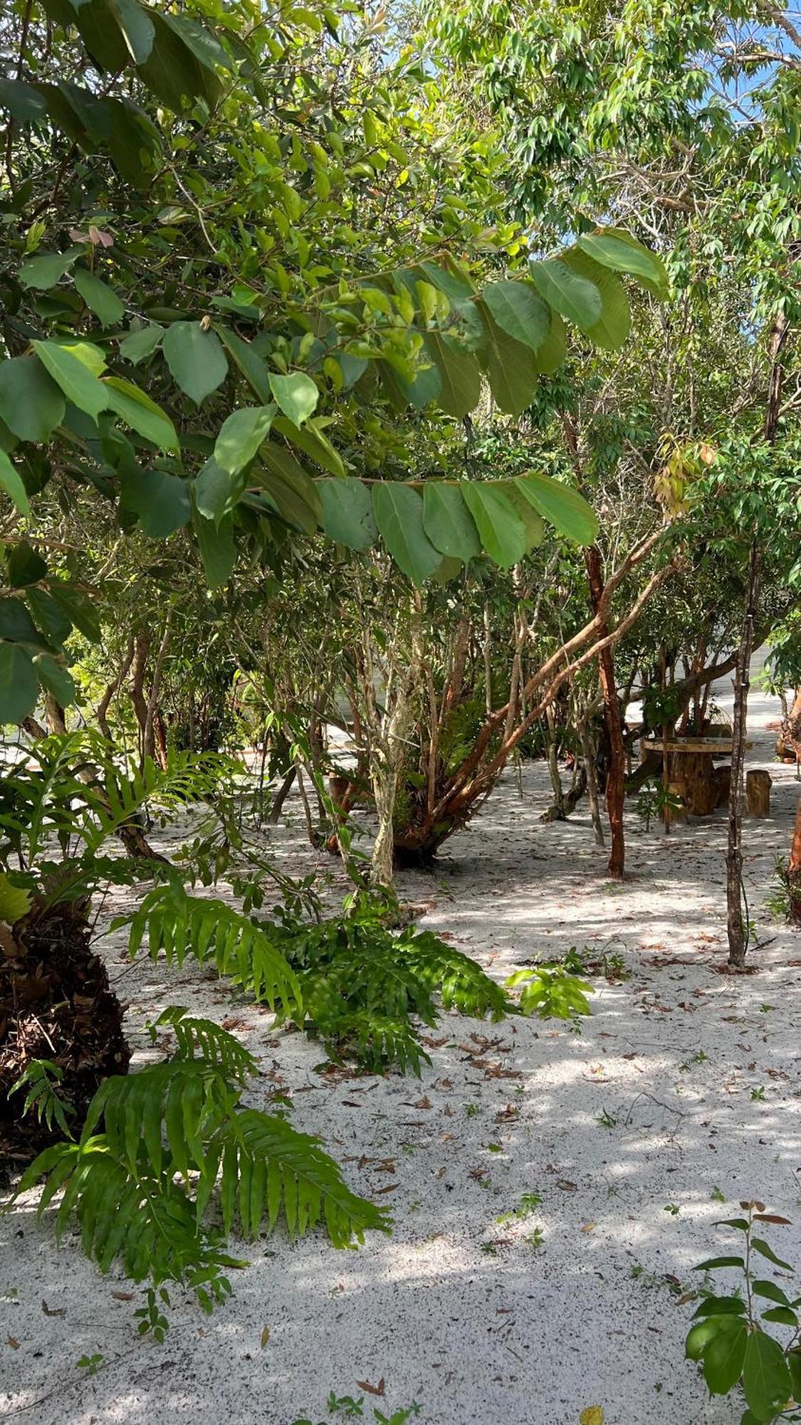 Golden Chenang Village Pantai Cenang  Zewnętrze zdjęcie