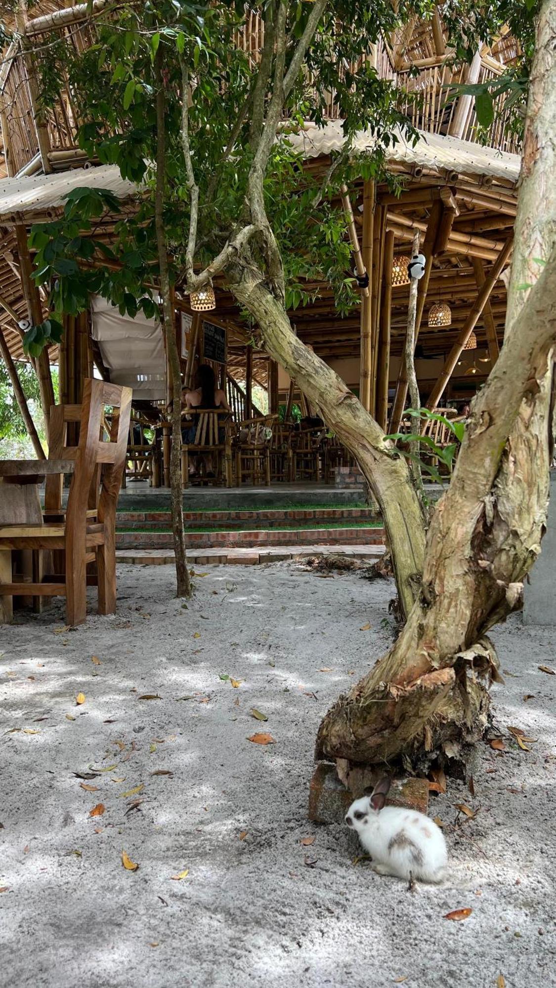 Golden Chenang Village Pantai Cenang  Zewnętrze zdjęcie